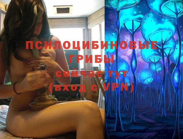 ALPHA PVP Алзамай