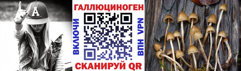 shop наркотические препараты  Грайворон  Псилоцибиновые грибы ЛСД 